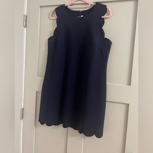 JCrew Navy Scallop Shift Dress Sz 12